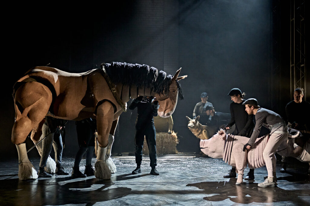 Animal farm production shot