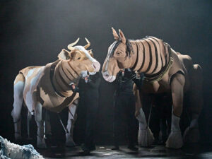 Animal farm production shot