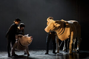 Animal farm production shot